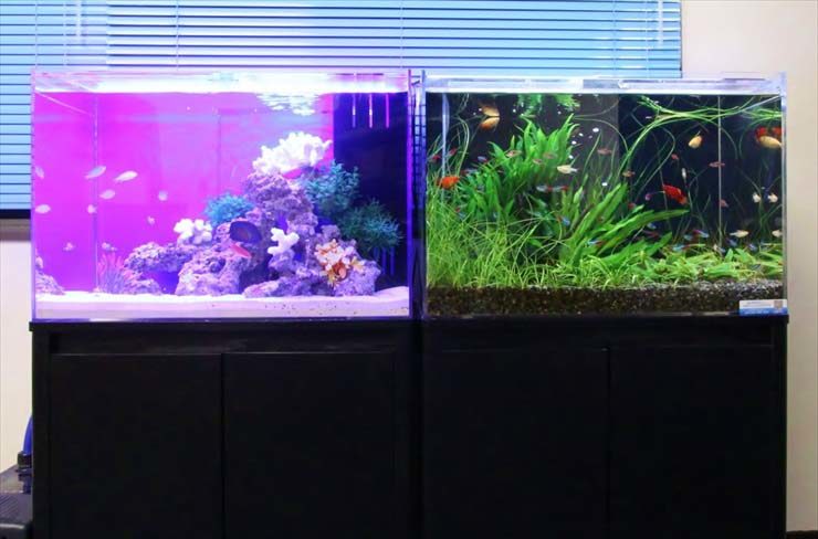 水槽台 60cm水槽 上下に2つ置けます 水槽台 60cm水槽 上下に2つ置けます