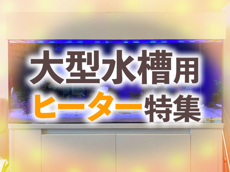 大型水槽用ヒーター特集｜大型水槽におすすめの機種と最適な保温の