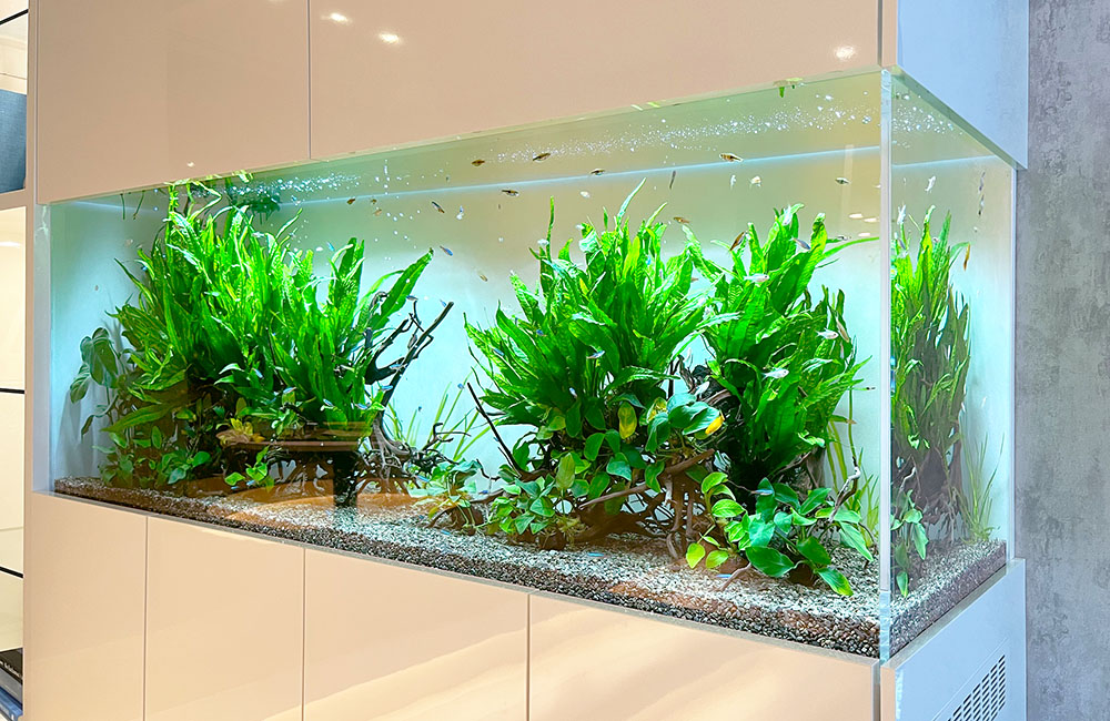 MMW-5688 マシンガンウッドレイアウトセット60cm水槽用流木