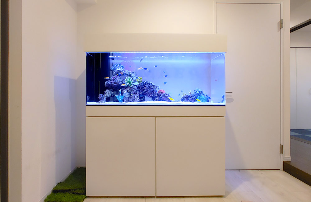 白い水槽台とは！白い水槽台のメリット・デメリットやおすすめ商品5選