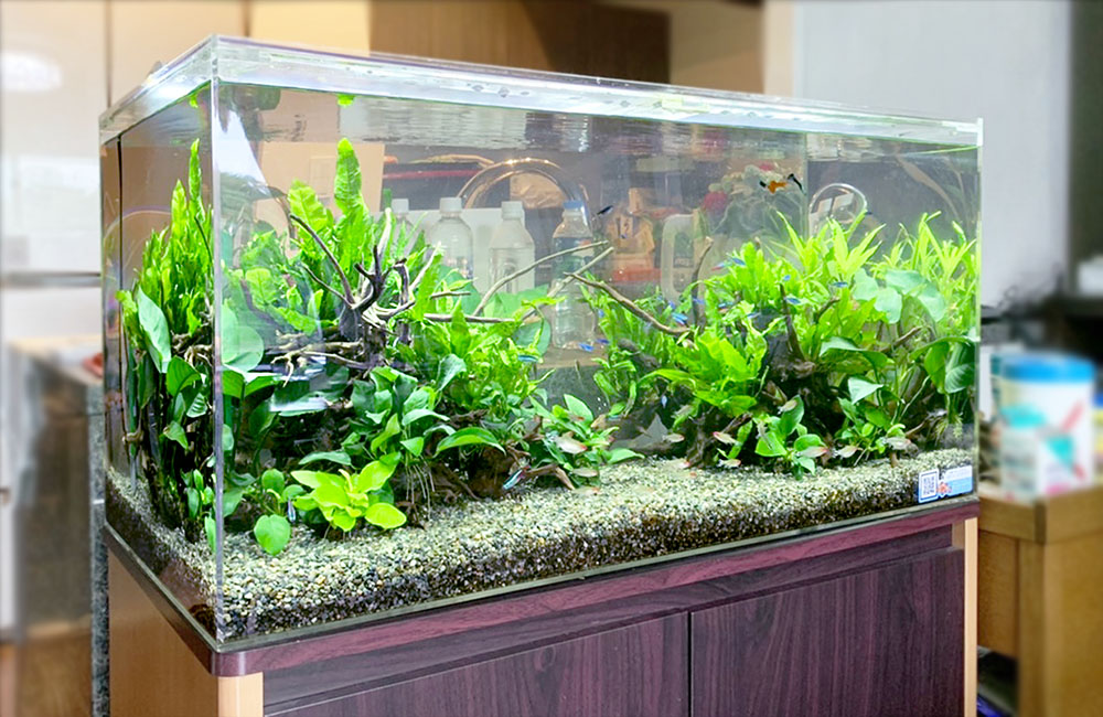 アクアシステム90センチ水槽セット ショップ アクアシステム90センチ