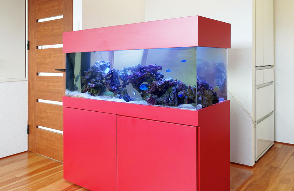 オーダーメイド水槽って高いのか・値段が決まる条件・発注テクニック