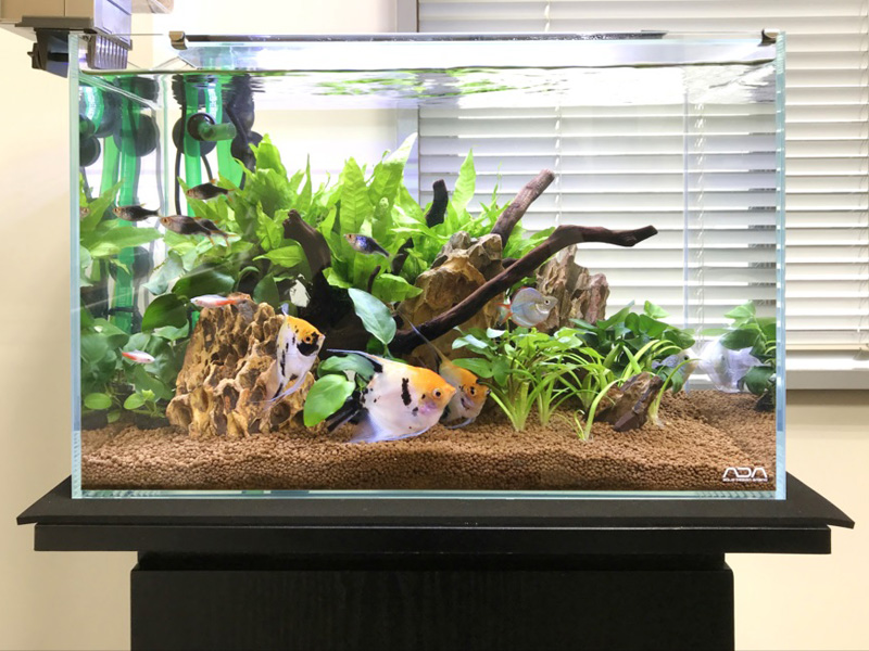 45cm水槽の照明10選｜水草・海水用照明のおすすめ機種をご紹介｜東京