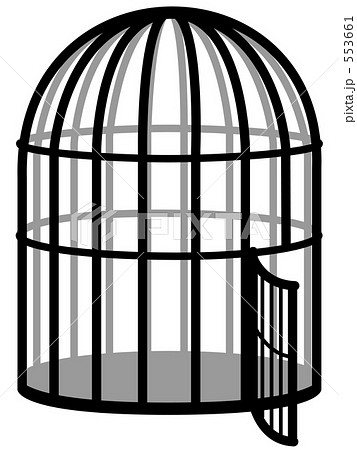 鳥籠 蔵出し出品】アンティーク彫刻の鳥籠 蔵出し出品】アンティーク