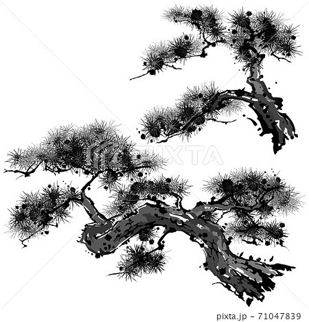 松 大小 水墨画 墨絵 白黒のイラスト素材 [71047839] - PIXTA