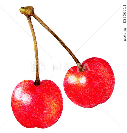サクランボの色鉛筆画イラストのイラスト素材 [85256211] - PIXTA