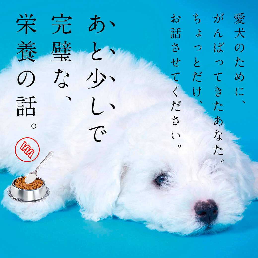 犬用コラーゲン「Ta-Ta(タータ)」 | Ta-Ta（タータ）