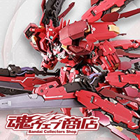 METAL BUILD ガンダムアストレアTYPE-F用“アヴァラングダッシュ”OP