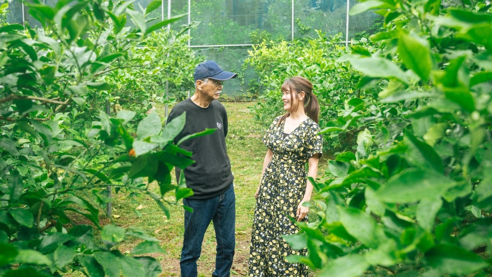 見渡す限りひまわり畑！アンダルシア州のカルモナで絶景を独り占め