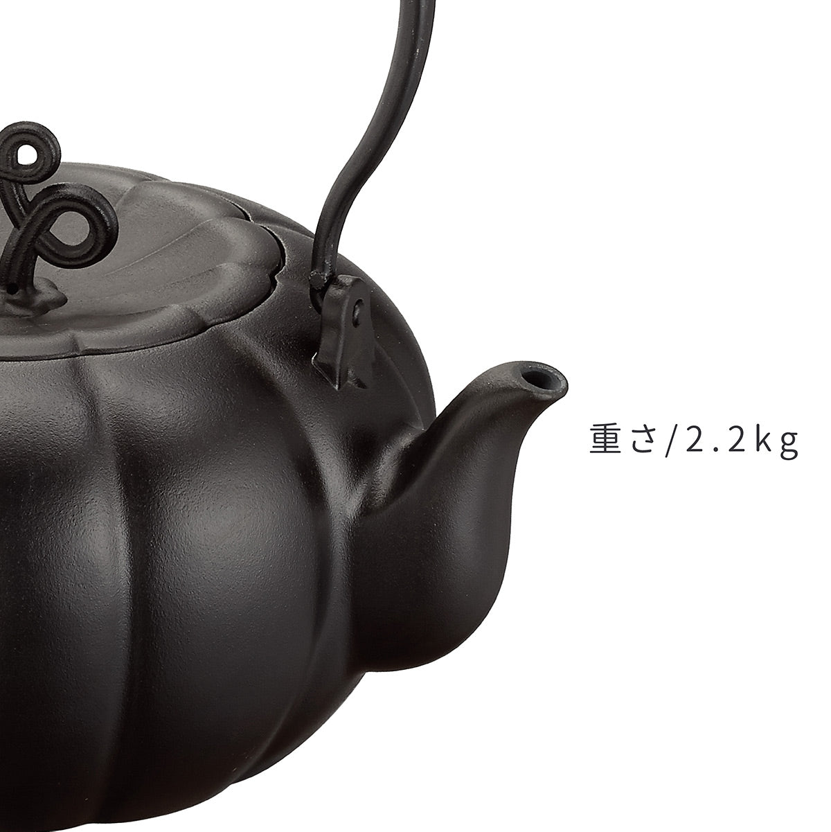 taku きんぎょく満堂 鉄瓶 1.6L かぼちゃ型 ケトル ポット 茶器 IH対応