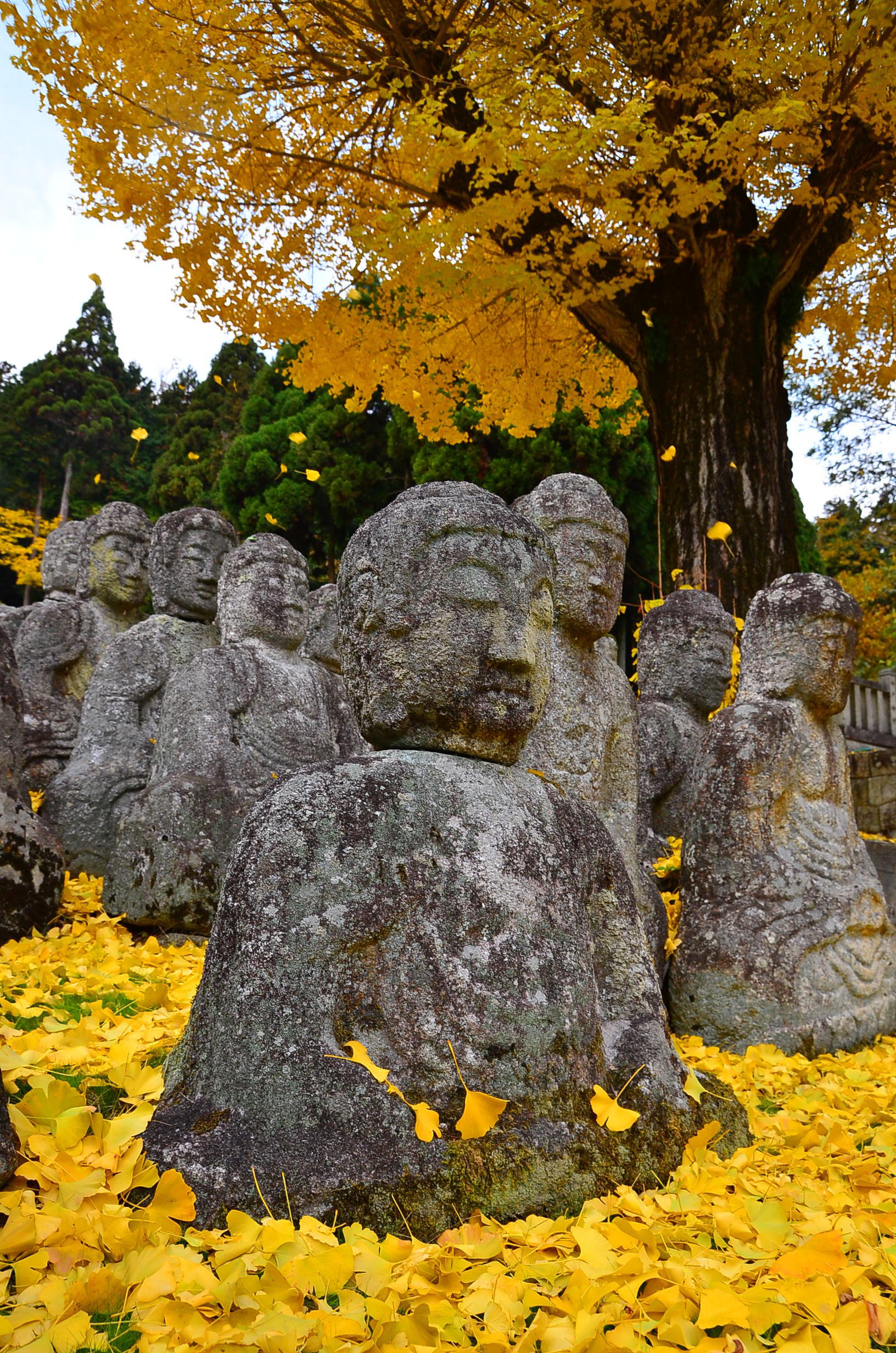 鵜川四十八体石仏群 | びわ湖高島観光ガイド