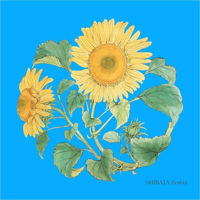 アマダ 天田 雪割りの花 トレーディングコレクション 1BOX アマダ 天田