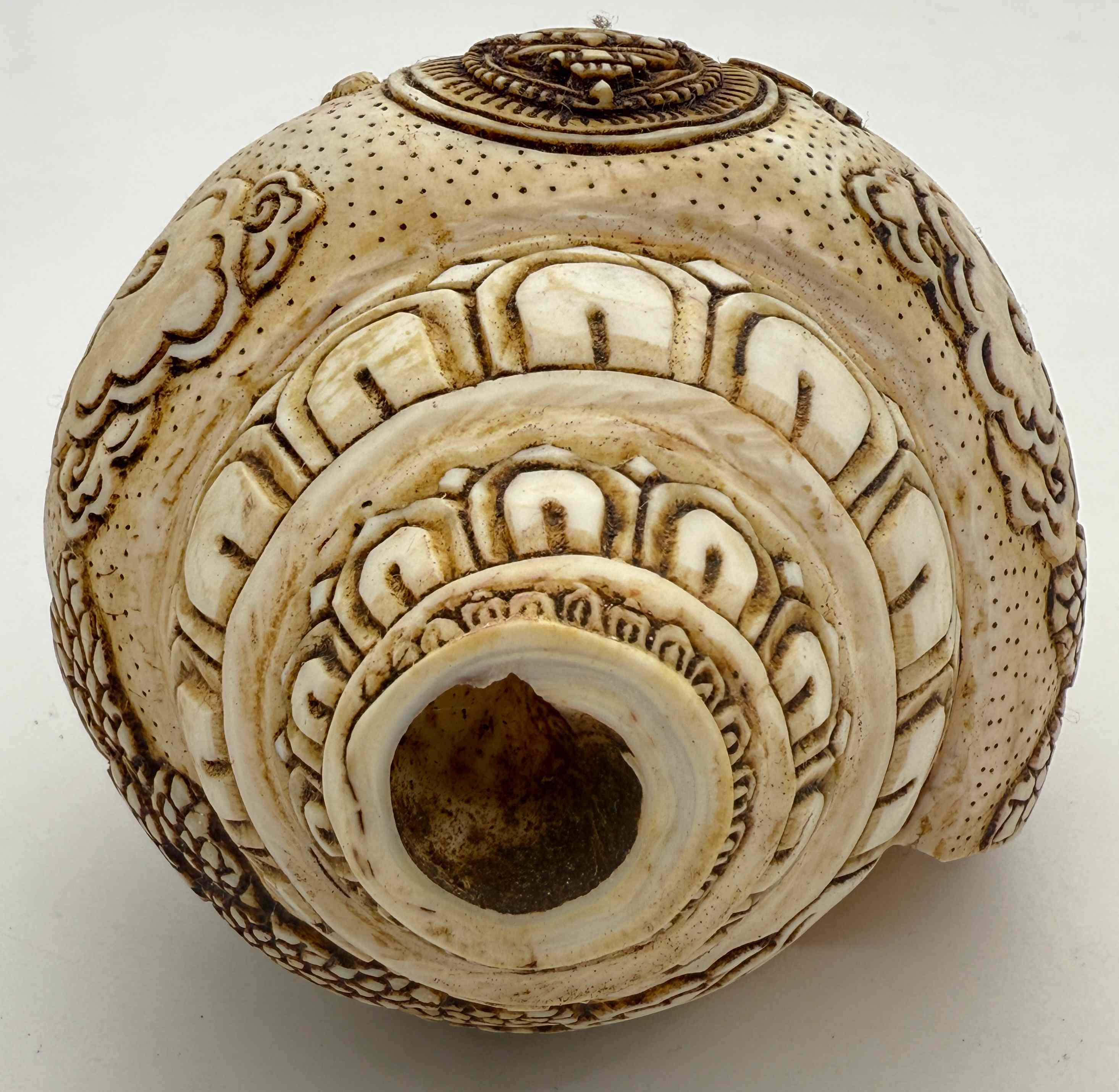 ◇チベット密教法具 法螺貝（シャンカ）ドゥルガー - TashiTage