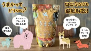 うまかドッグフードの口コミ評判や試した使用感を徹底解説！
