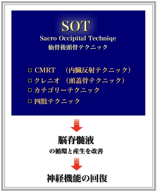 SOTとは | 足立区の整体なら施術歴20年以上の実績を持つテルカイロ