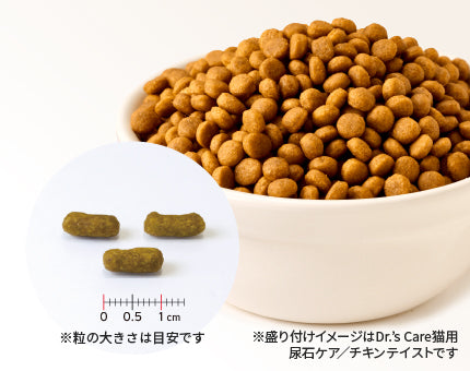 ドクターズケア】＜猫用＞ストルバイトケア スターター