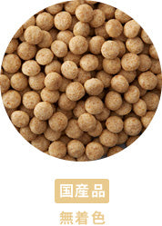 ラボライン】〈犬用〉ピュアプロテイン・小麦 ドライ