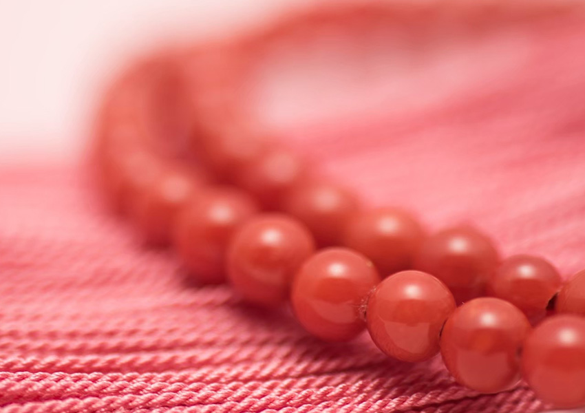 珊瑚念珠 お誂え会（高知） || THE COVER NIPPON