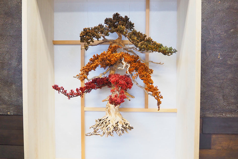 新スタイルの盆栽で空間を演出する「SANOYOI-咲の宵-」。 | Things