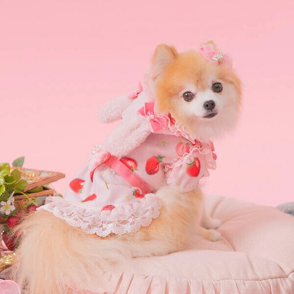 きゃんナナ CanNana 冬いちごうさ耳ワンピース 1145【小型犬 犬服