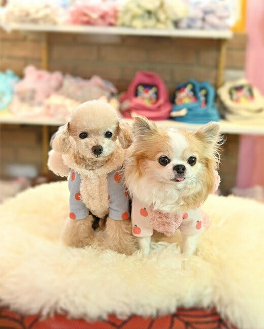 J&Kアニマルズ J&K animals ☆予約受付中☆シュガーちゃん つなぎ