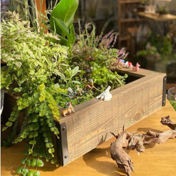 ウッドフレーム | 杜若園芸WEBショップ｜水草の生産販売【通販ショップ】