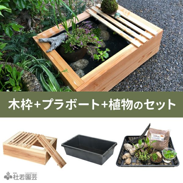 京の高級木枠（大）つき ビオトープコーディネートセット | 杜若園芸