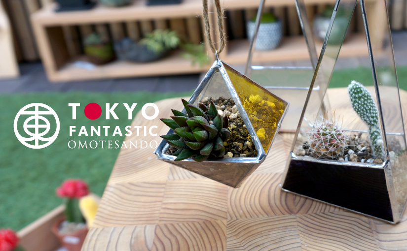 5/1（日）ステンドグラステラリウム&多肉寄せ植えワークショップ開催