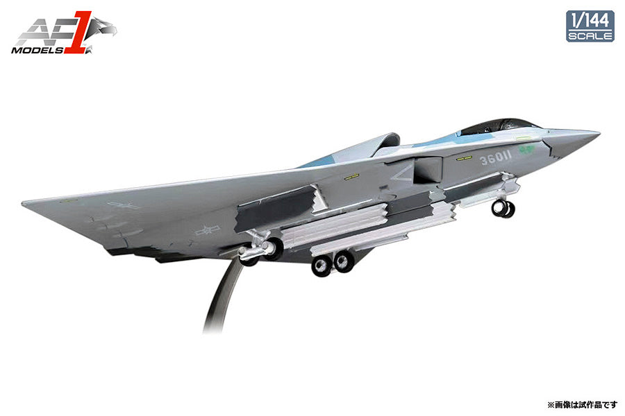 希少品】J-10C 戦闘機 中国人民解放軍 空軍 1/48 精密モデル 希少品】