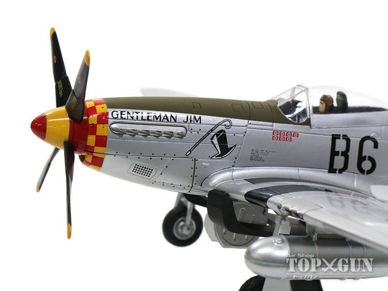 Hobby Master P-51Dマスタング アメリカ陸軍航空軍 第357戦闘航空群 第