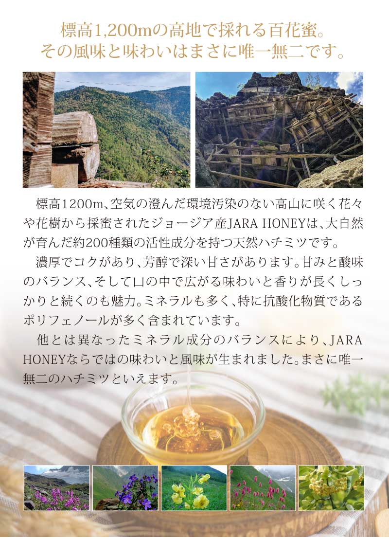 WILD JARA HONEY ｜オーガニック ジャラハニー｜天然はちみつ｜ハチの
