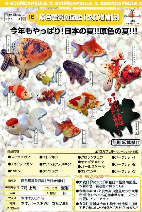 ヤナギデメキン 原色鑑賞魚図鑑 シークレット ヤナギデメキン 原色鑑賞