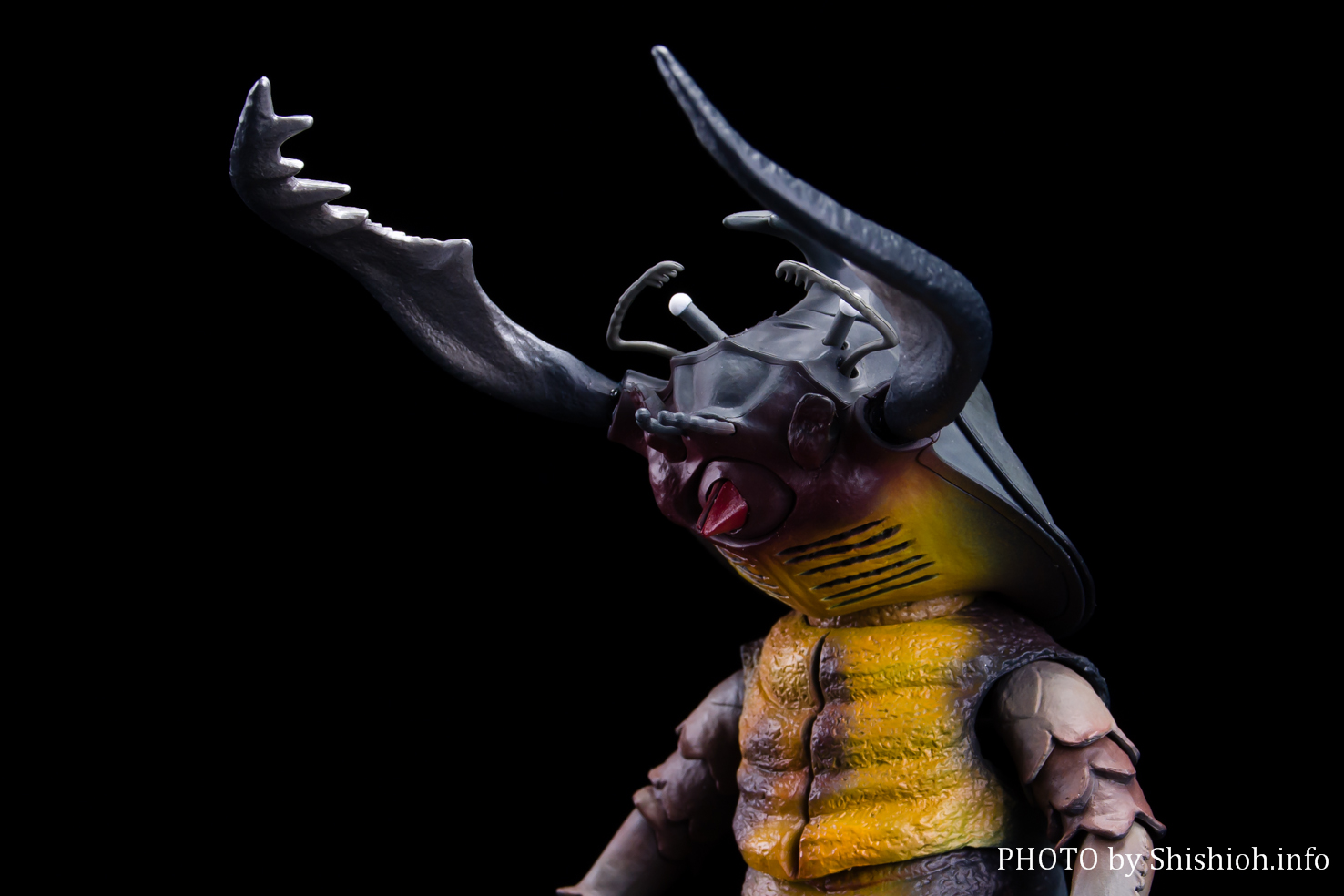 レビュー】S.H.Figuarts アントラー