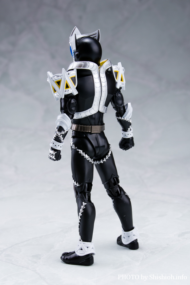 徹底レビュー】S.H.Figuarts（真骨彫製法） 仮面ライダーサガ