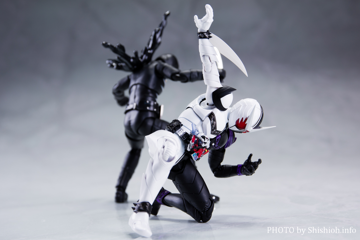 S.H.Figuarts 真骨彫製法 仮面ライダーW ファングジョーカー