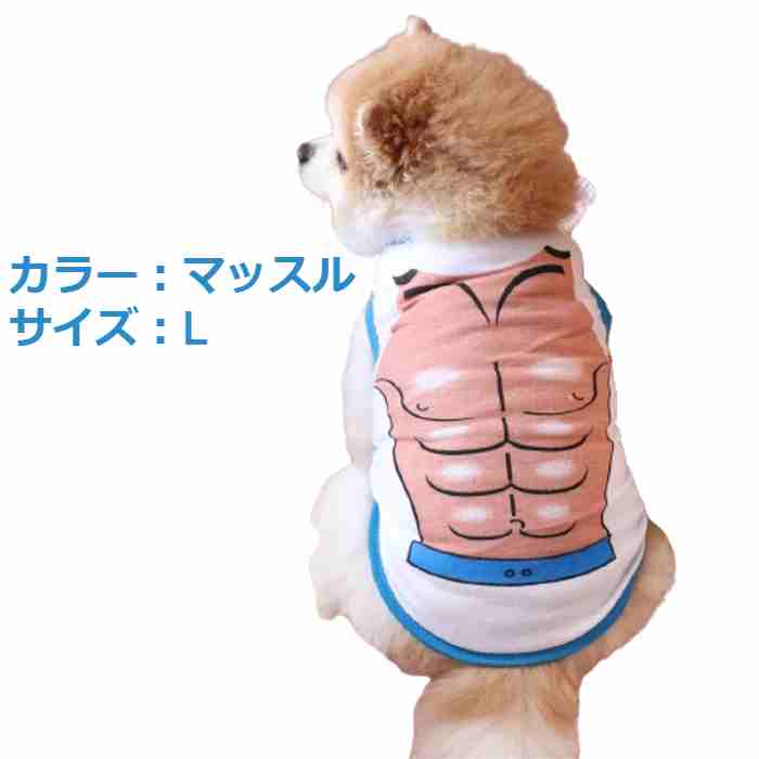 楽天市場】おもしろベスト 犬服 マッスル ビキニ エッジカラータイプ