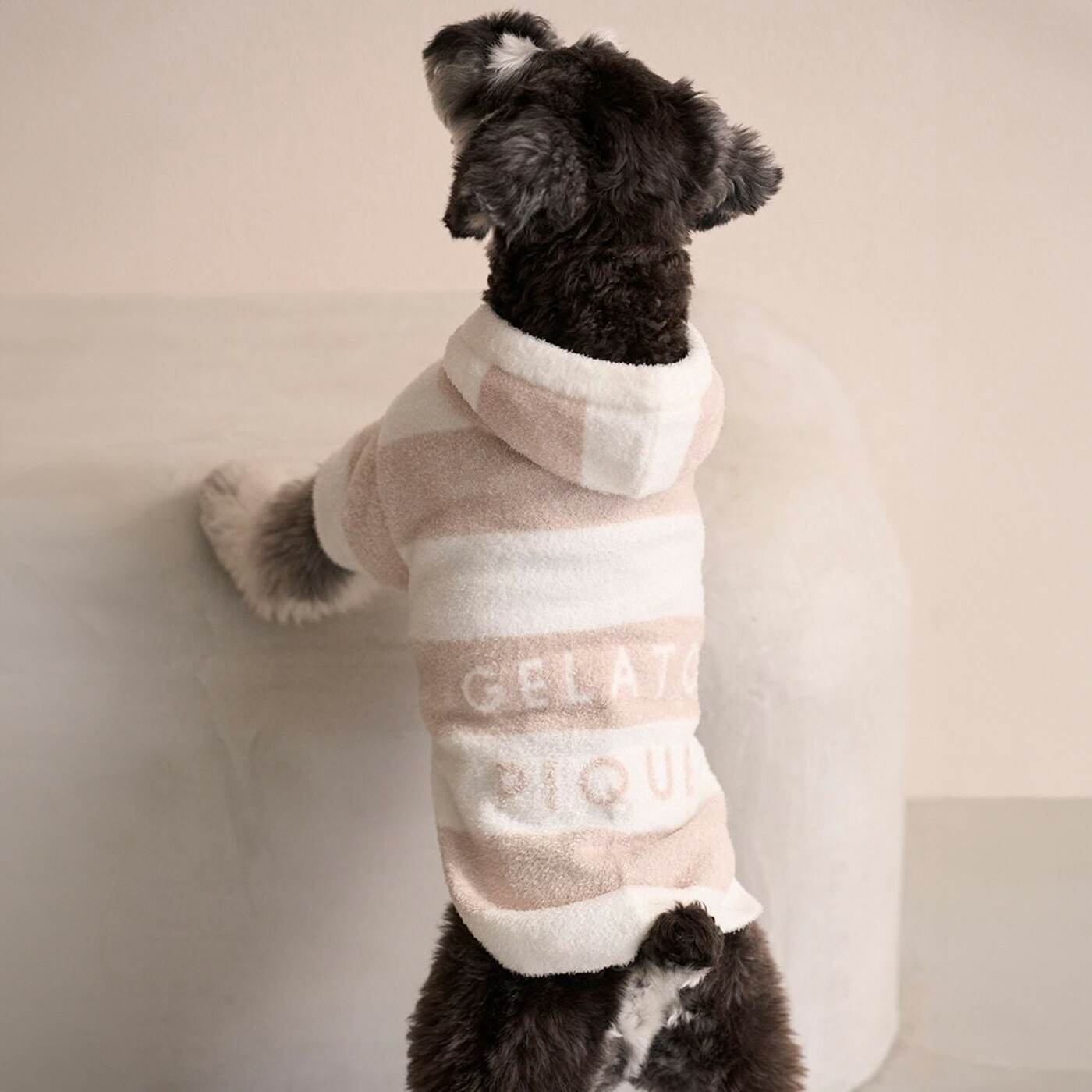 楽天市場】ジェラートピケ gelato pique CAT&DOG スムーズィーXLサイズ