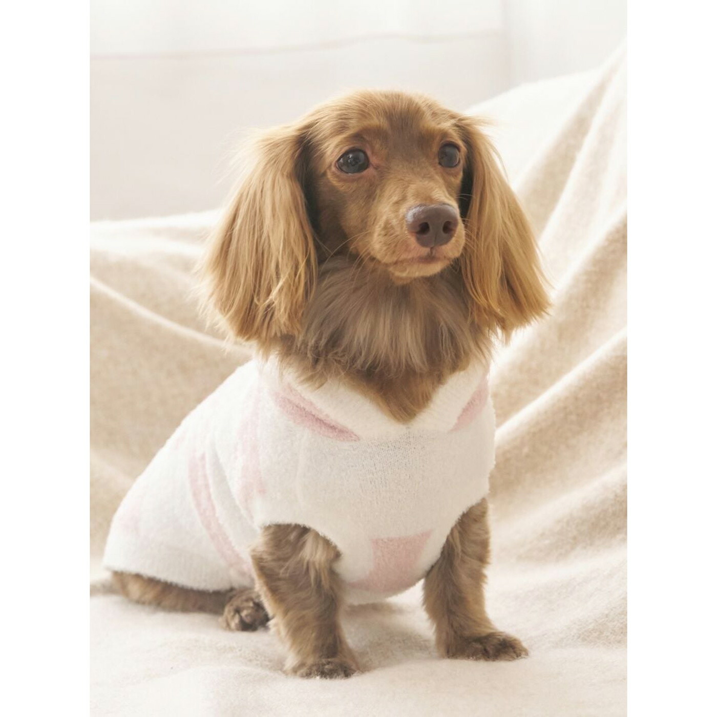 楽天市場】ジェラートピケ gelato pique CAT&DOG スムーズィーダックス