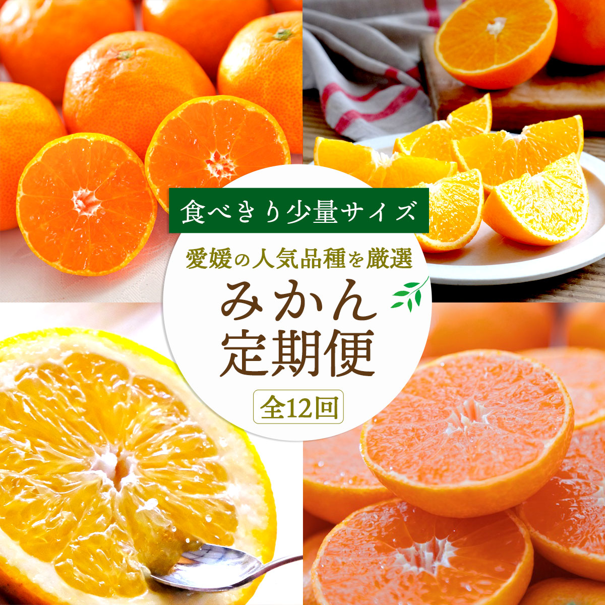 楽天市場】みかん かんきつ 定期便 お試し 食べ切り 少量 全12回 秀品