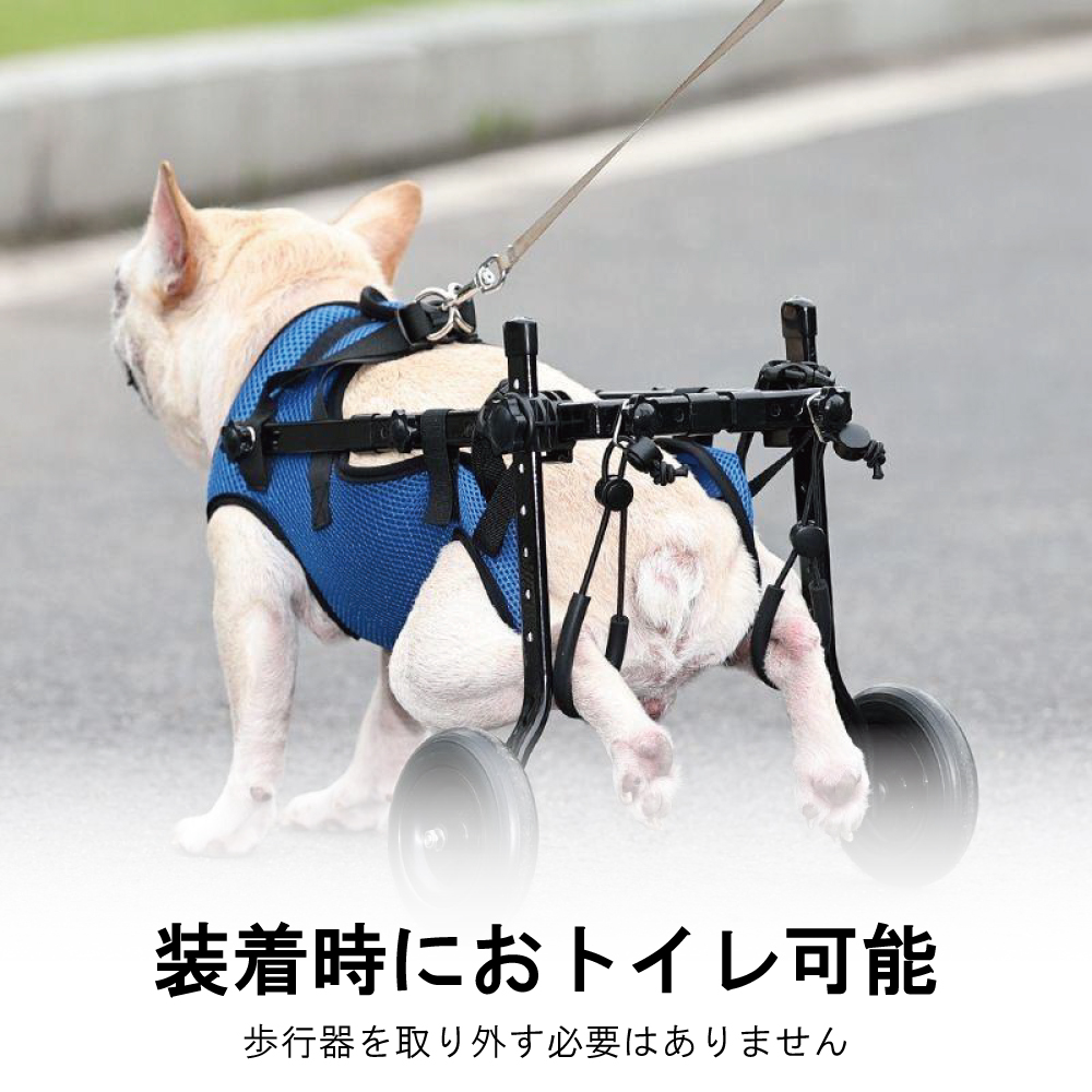 楽天市場】＼楽天1位／犬用車椅子 歩行器 車いす 後ろ足 2輪 歩行補助
