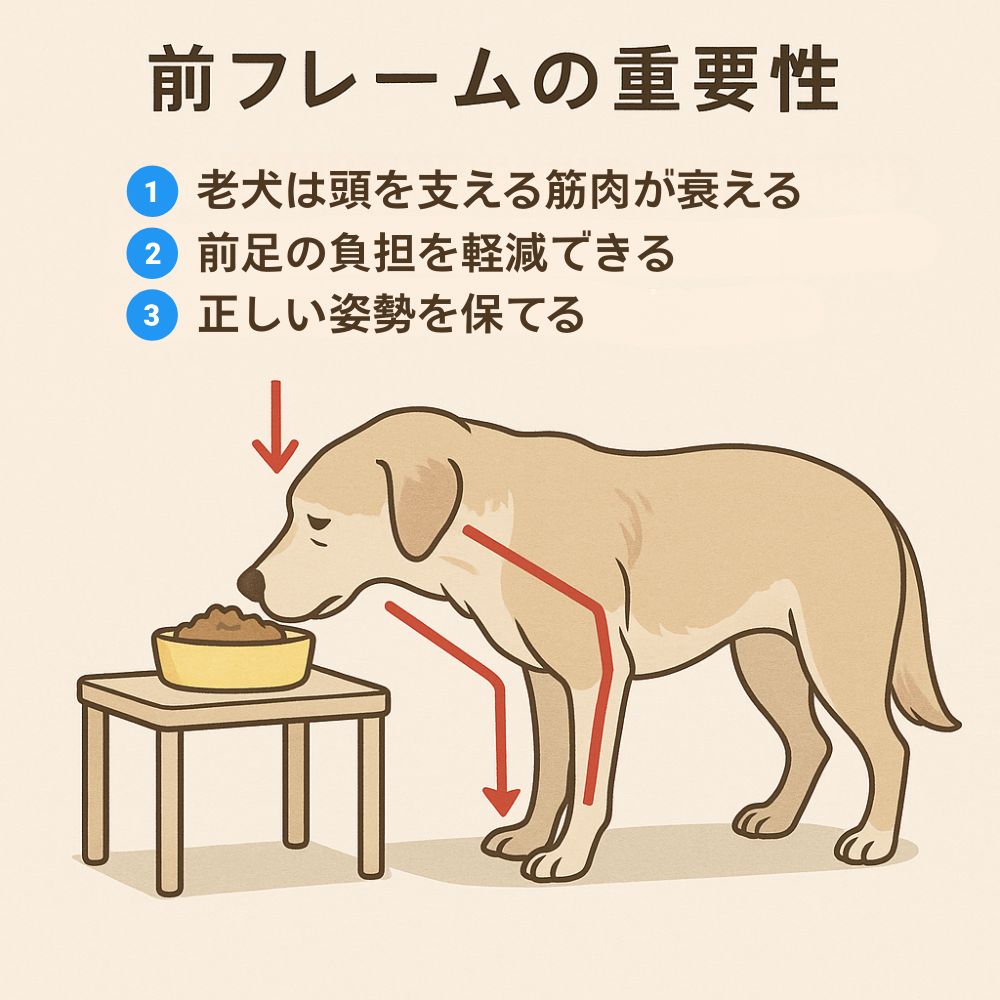 楽天市場】犬用車椅子 4輪 歩行器 車いす 犬用歩行器 車いす 後ろ足