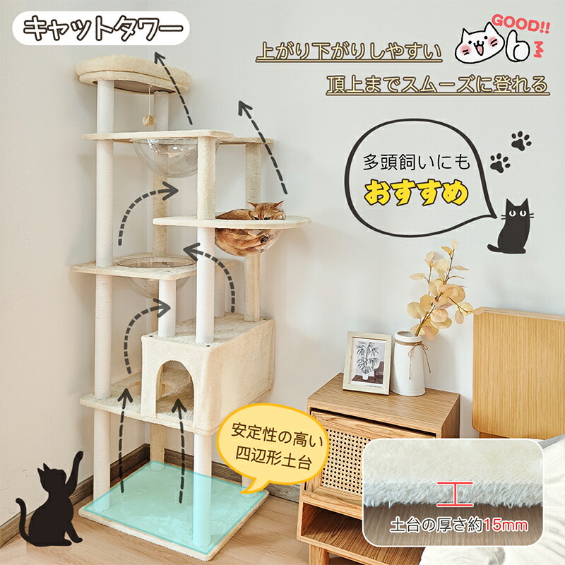 楽天市場】【期間限定！2000円OFF⇒9798】＼楽天1位／RAKU キャット