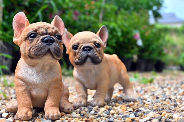 楽天市場】フレンチブルドッグ 2匹セット可愛い置物 犬の置物 赤ちゃん