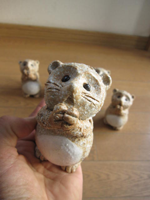 楽天市場】信楽焼き信楽狸の合唱 信楽置物 さんたぬき5狸 : 園芸