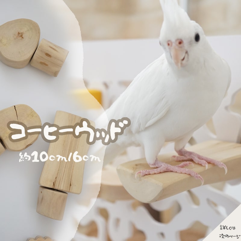 楽天市場】【複数割あり】 インコ とまり木 インコ 天然木 止まり木