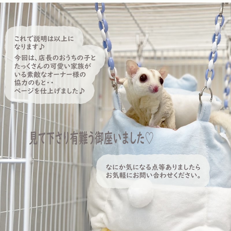 楽天市場】【すぐ届く】 モモンガ ハウス ハンモック 小動物用 ハウス