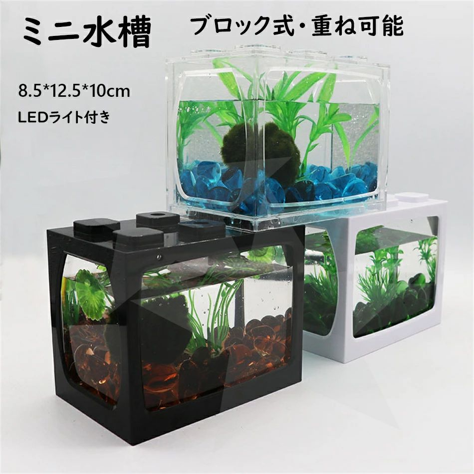 ガラス水槽 小型 水草・岩レイアウト LEDライト付き