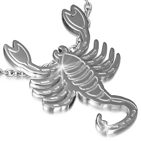 楽天市場】さそり座ペンダント 星座 蠍座 スコーピオン 星占い