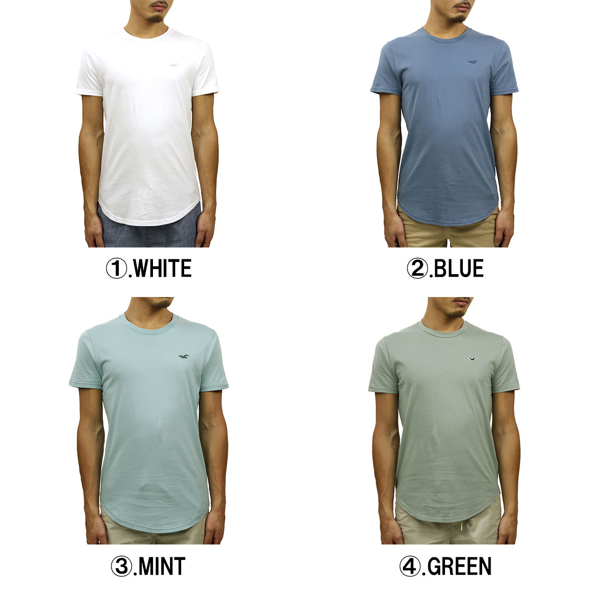 楽天市場】ホリスター Tシャツ メンズ 正規品 HOLLISTER 半袖Tシャツ