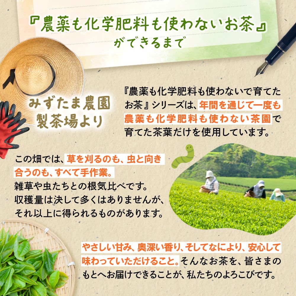 楽天市場】農薬不使用 お茶 静岡茶 日本茶 【3袋セット】 農薬も化学